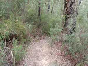 Track down Magdala Gully