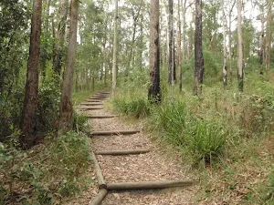 walking track near Katandra Rd Picnic Area