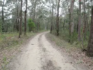 Toomeys Rd trail