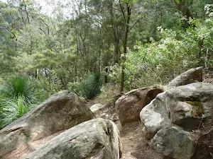 Rocky track from view point south of Crosslands