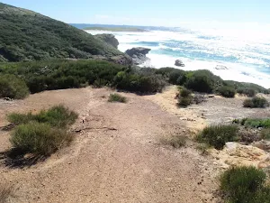 Clearing south of Timber Beach