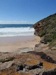 Timber Beach
