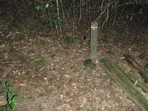 Arrow marker along track