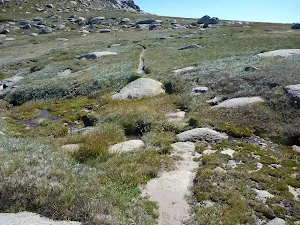 Track looking up to Mt Townsend plateau
