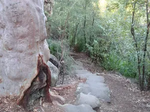 Stone steps