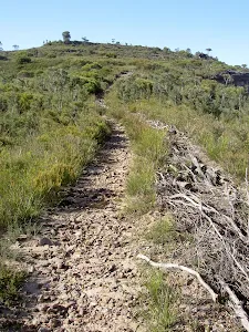 Flat Top Track