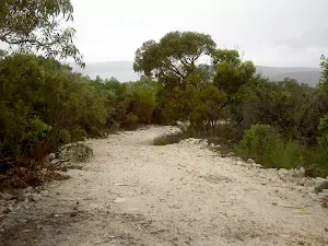 Headland Service Trail