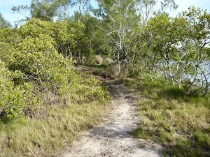 Section of track on the Galgabba Point walk