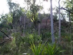Cliff face at Mt Olive