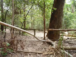 GNW meets the Bar Trail