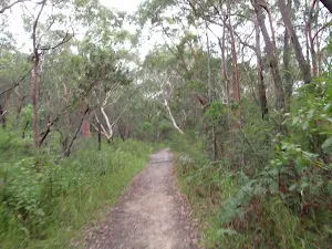Cascades Track