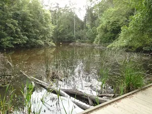 Seymour Pond
