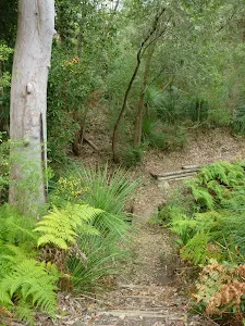 Gully West of Fishponds Lookout