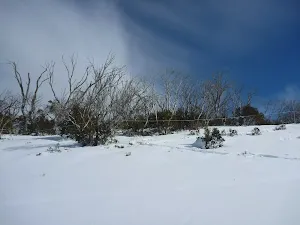 Following the out of bounds fence