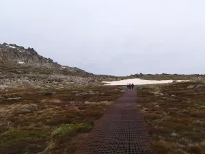 following the walkway
