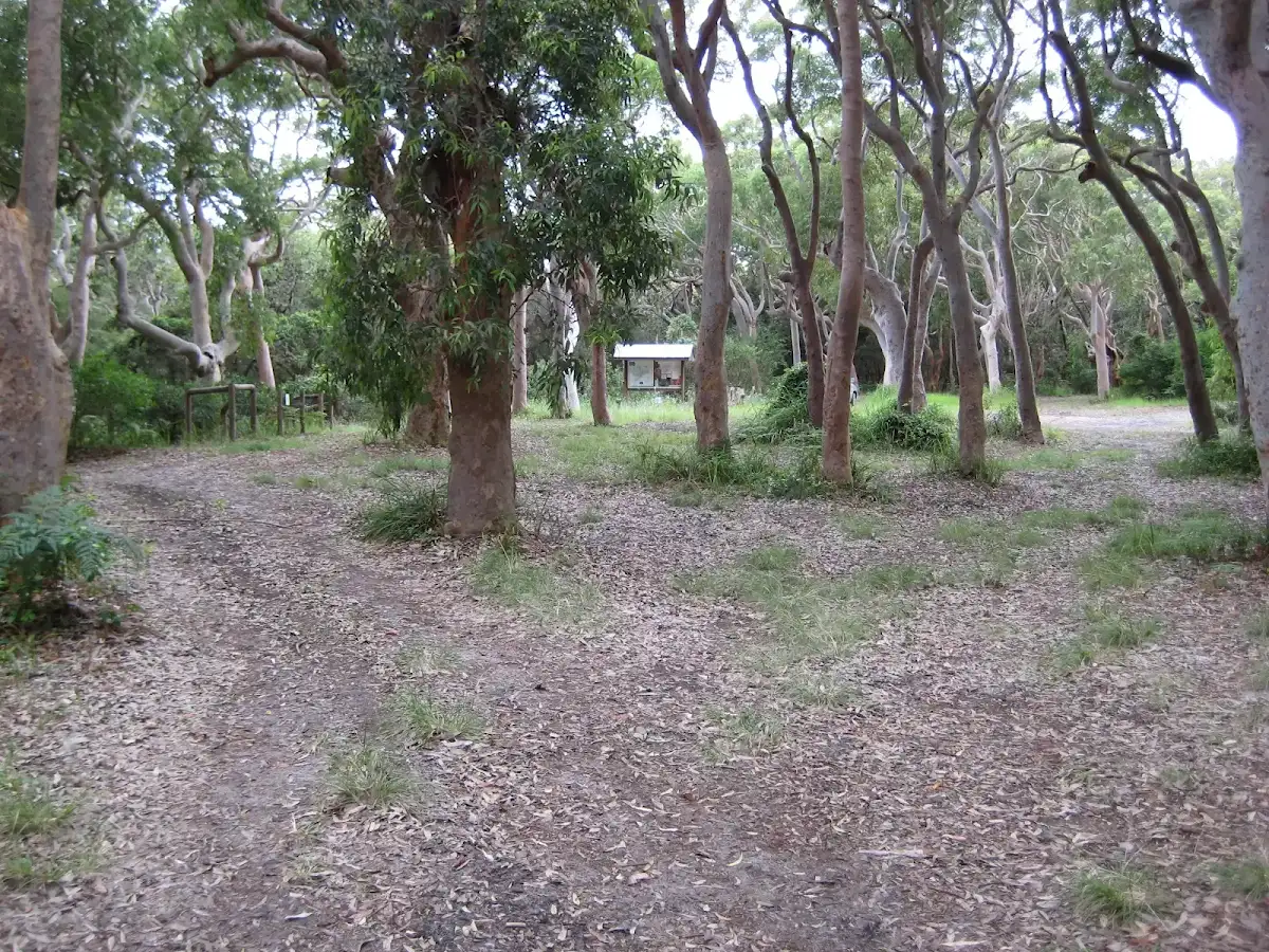 Stewart and Lloyds campground