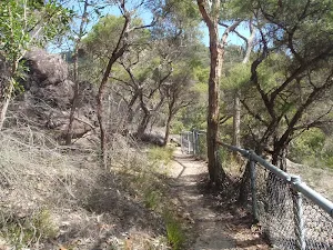 track winding down to Galston gorge