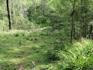 Lush environment in valley