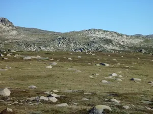 Australian alpine country