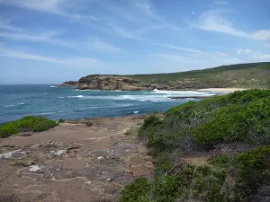 Track with Pinney's Headland in the distance