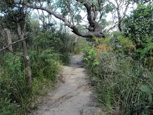 Near bottom of Morella Rd Track