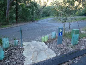 Track down from tourist park
