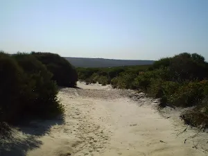 The Marley Head Servicetrail