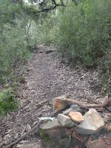 Track down through the bush
