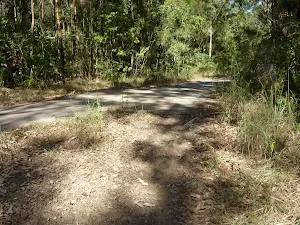 Intersection close to Green Point in Green Point Reserve