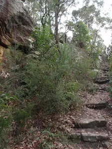 Steps below Lawsons Lookout