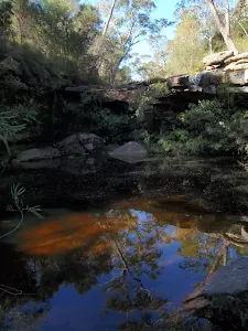 Jeannie's pool