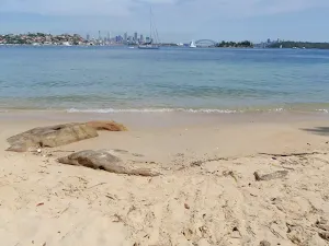 City view from Queens Beach