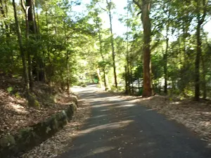 Sealed trail close to Carnley Reserve car park in the Blackbutt Reserve
