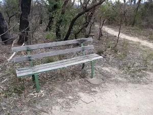 Bench beside the track