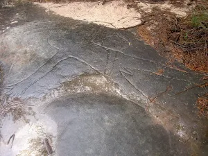 Aboriginal Heritage Track