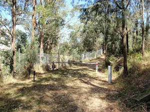 End of the White St firetrail