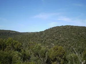 The ridges of Heathcote National Park