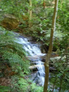 Sylvia Falls