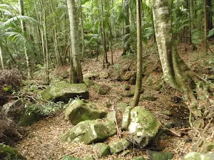 Mossy boulders on Valley on Waterman Walk