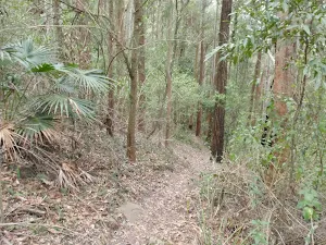 Narrow Link track
