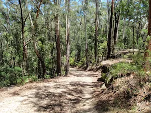 Walking along the wide trail