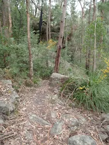 Track into saddle along Florabella Pass