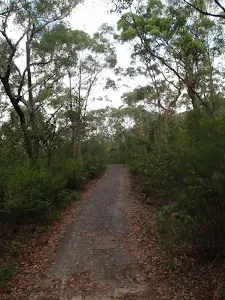 Cascades track