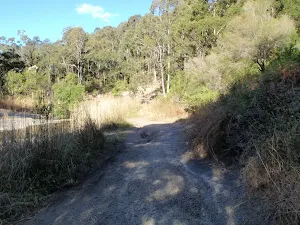 following the bushtrack to the Glenrock scout camp