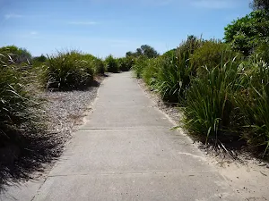 Sealed footpath above Caves Beach