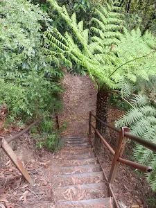 Heading down into the national park