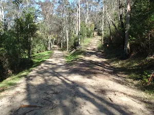 Intersection of Ten Mile Hollow Rd and Donny's track