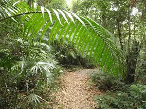 Lower section of Tommey walk