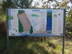 Interpretation near the gate