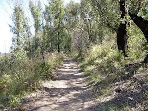 Cliff Top Track
